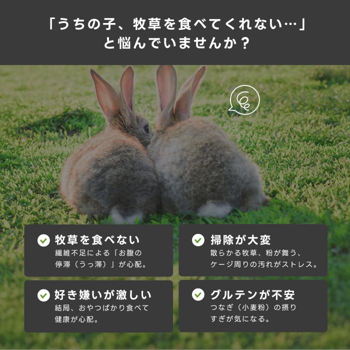うさぎ 牧草 チモシー ハイペット チモシーのきわみ まとめ買い 400g 5