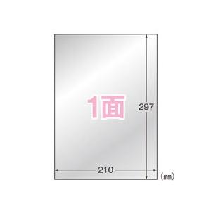 ポスト投函　まとめ買い　ラベルシール　A4　10枚入　耐水　ツヤ消し　31035　10個セット　シルバー　耐光　エーワン　レーザープリンタラベル屋外用　ノーカット