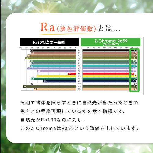 Z-Chroma Ra99 最も自然光に近い 目に優しい デスクライト led 精密