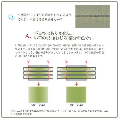 メーカー直送 イケヒコ 上敷き ゴザ 敷詰 カーペット い草 自然素材 日本製 国産 消臭 ナチュラル 市松柄 シンプル 本間3畳 約191×286cm｜cocoatta｜18