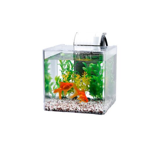 テトラ 静かな金魚飼育セット SF-17GF : cocoatta - 通販 - Yahoo