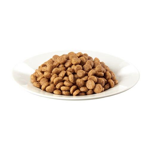 シーザードライ 成犬用 チキンと4種の農園野菜入り 小粒 1.5kg