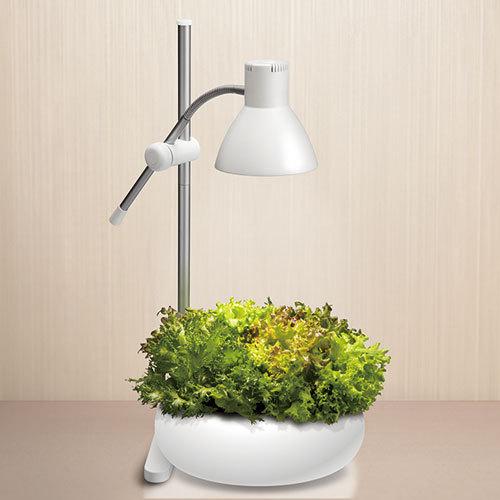 ジェントス GENTOS 植物育生ライト IK-S72GWH