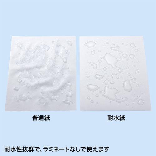 サンワサプライ カラーレーザー用 耐水紙 標準 50枚 LBP-WPF12MDPN｜cocoatta｜02
