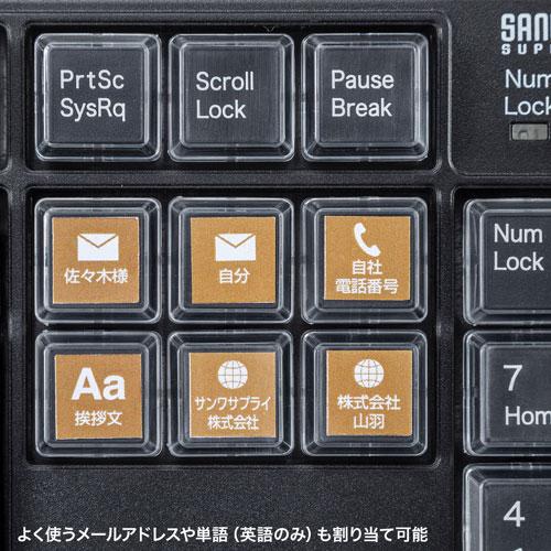 サンワサプライ プログラマブルキーボード ブラック SKB-P1BKの画像