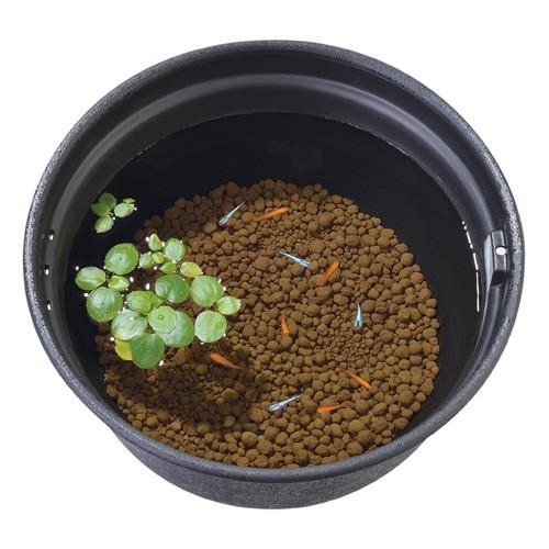 ジェックス Gex メダカ水景ろ過する赤玉土 2 5l Cocoatta 通販 Yahoo ショッピング