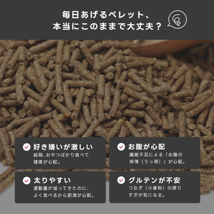 ハイペット うさぎのきわみ 850g うさぎ ペレット 主食 チモシー 全