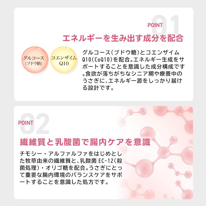 ハイペット うさぎのきわみ ライフサポート 100g うさぎ 介護食 流動食