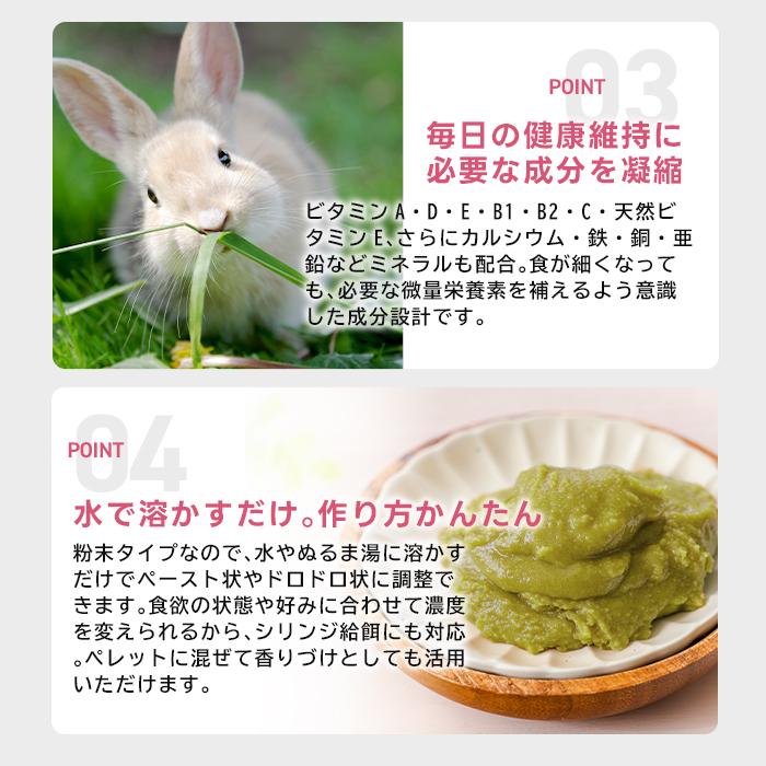 ハイペット うさぎのきわみ ライフサポート 100g うさぎ 介護食 流動食