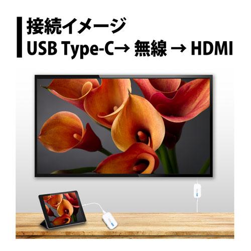 プリンストン PRINCETON EZCast Pocket ワイヤレス USB-C to HDMI 画面