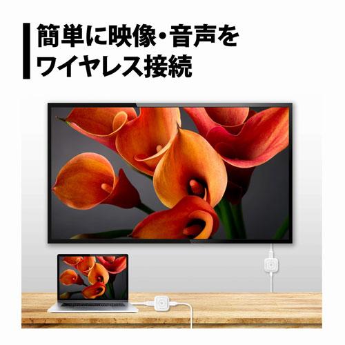 プリンストン PRINCETON プリンストン ワイヤレスHDMI to HDMI SC-POCKETMINI-H1R1の画像