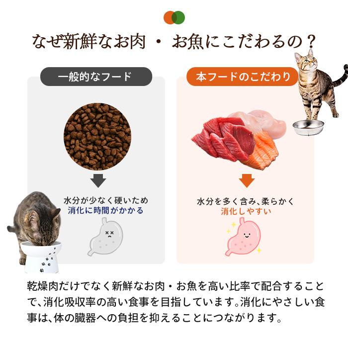 アルモネイチャー ホリスティック ドライフード 成猫用 フレッシュ