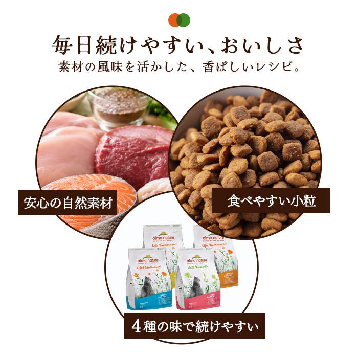 〈値下げ〉２袋　アルモネイチャー ホリスティックドライフード フィッシュ　2kg アルモネイチャー ホリスティック ドライフード 成猫用 フレッシュ