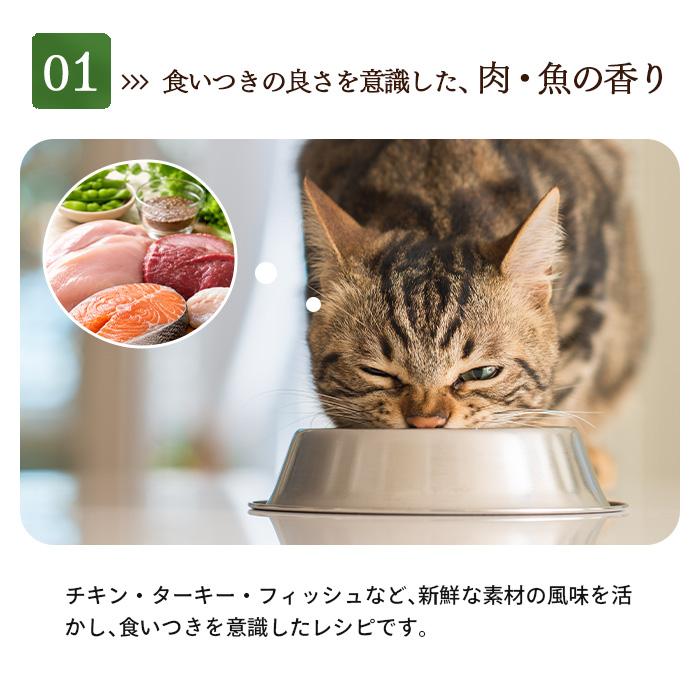 アルモネイチャー ホリスティック ドライフード 成猫用 フレッシュ