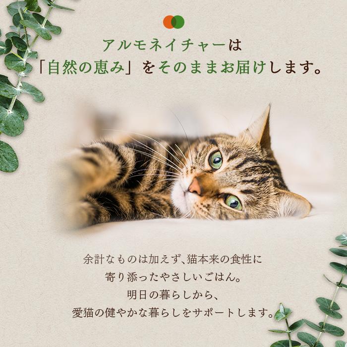 アルモネイチャー ホリスティック ドライフード 成猫用 フレッシュ