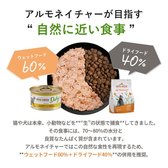 アルモネイチャー ヘアボールコントロール ドライフード 成猫用