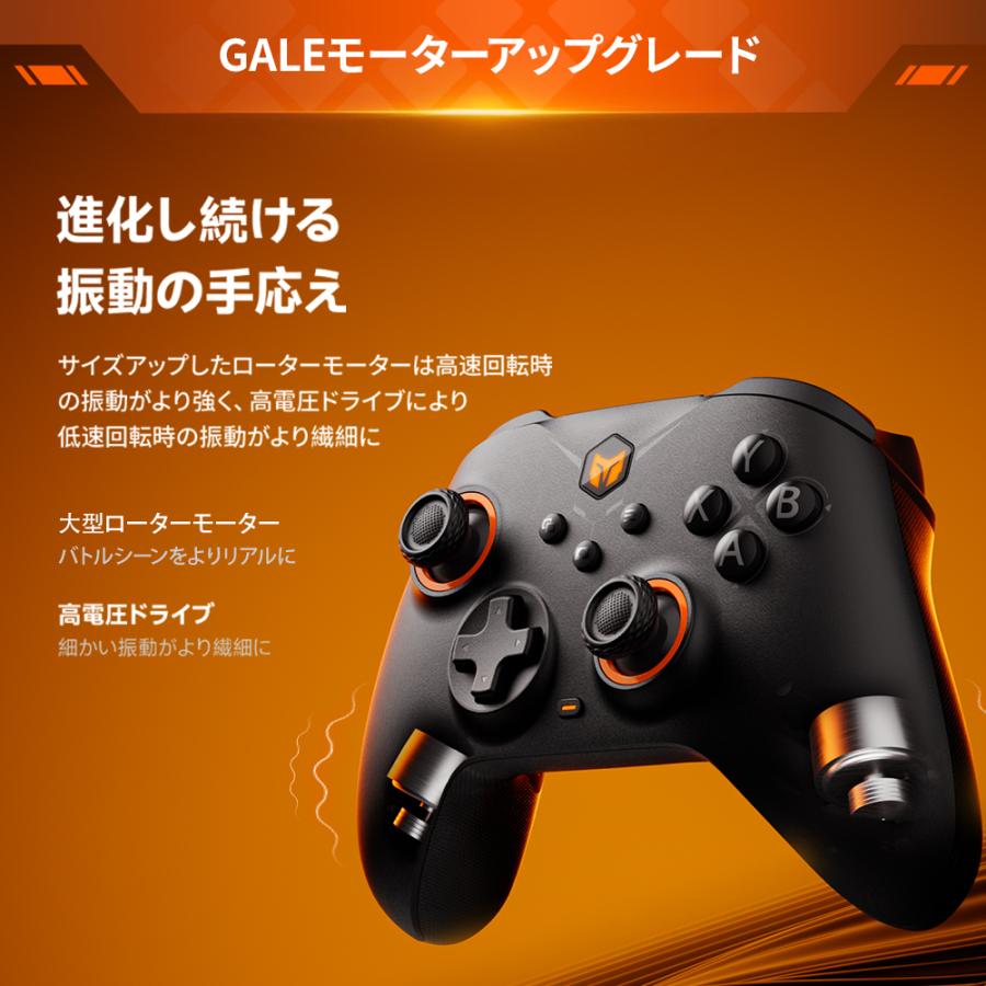 BIGBIG WON BIGBIG WON GALE Hall combo Black 無線 有線ゲーム 