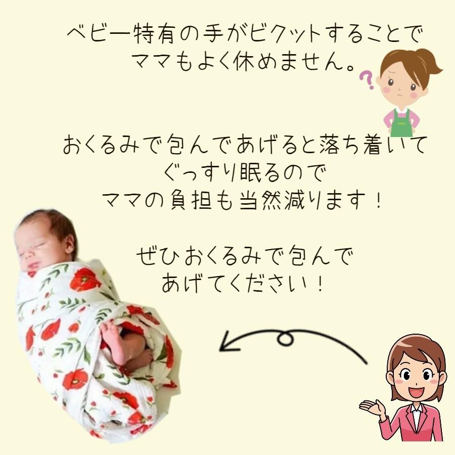 全商品オープニング価格特別価格 おくるみ ブランケット 出産祝い ルルロリポップ Loulou Lollipop スワドル 送料無料 Babylonrooftop Com Au