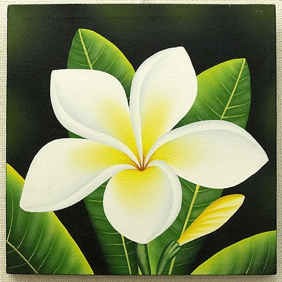 バリ絵画 プルメリア14(40×40cm) バリ雑貨 アート ハワイアン インテリア 玄関 おしゃれ 花 壁掛け 飾り フレーム パネル ココバリ |  | 03