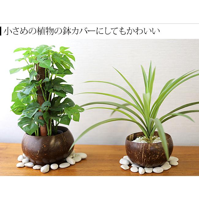 ココナッツのボウル アジアン雑貨 バリ小物入れ 収納 おしゃれ ココナッツのボウル アジアン雑貨 バリ小物入れ 収納 おしゃれ
