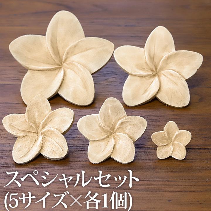 アロマストーンプルメリアサシェ&シェルフラワーセット