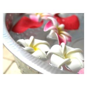 フットバスボウル(アルミ)オリエンタル(Mサイズ)  おしゃれ 足浴 足湯 桶 タライ 軽い バリ アジアン スパボウル |  | 06