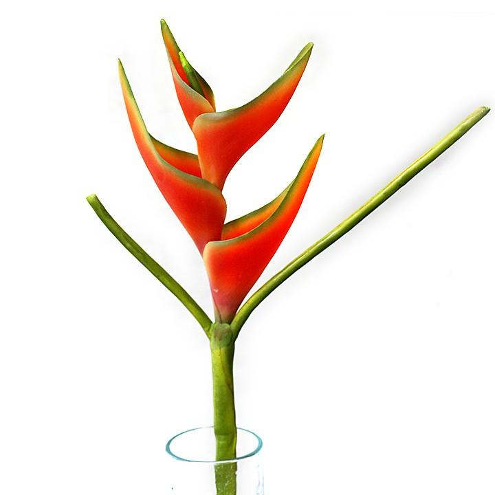 ヘリコニア 造花 リアル 南国 夏 トロピカル バリ雑貨 バリ風 インテリア Fl0003 バリ雑貨ココバリ アジアン雑貨 インテリア 通販 Yahoo ショッピング