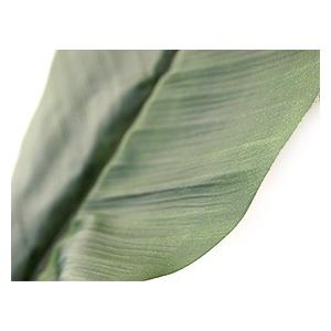 バナナリーフ 2枚セット 造花 リアル インテリアグリーン フェイクグリーン 南国 夏 トロピカル 葉っぱ バリ雑貨 ココバリ Fl0008 バリ雑貨ココバリ アジアン雑貨 通販 Yahoo ショッピング