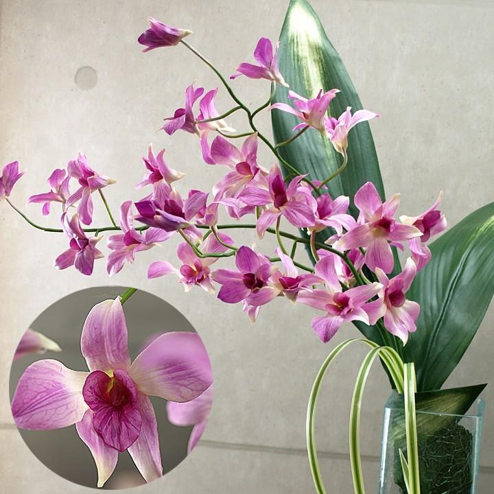 デンファレ 造花 リアル 南国 夏 トロピカル デンファレ 蘭 ラン バリ雑貨 バリ風 インテリア Fl0031 バリ雑貨ココバリ アジアン雑貨 インテリア 通販 Yahoo ショッピング