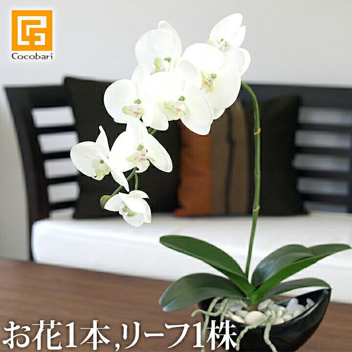 胡蝶蘭(ホワイト)(お花1本&リーフ1株)セット 造花 アーティ 胡蝶蘭(ホワイト)(お花1本&リーフ1株)セット 造花 アーティ