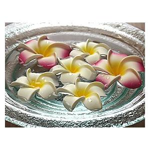 ガラスの水盤(M)セット (スタンド、プルメリア(イエロー4、ピンク2