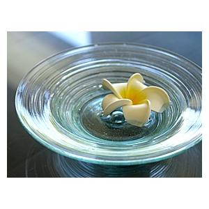 ガラスの水盤 ミニ プルメリア(イエロー)付き 花器 花瓶 ボウル バリ