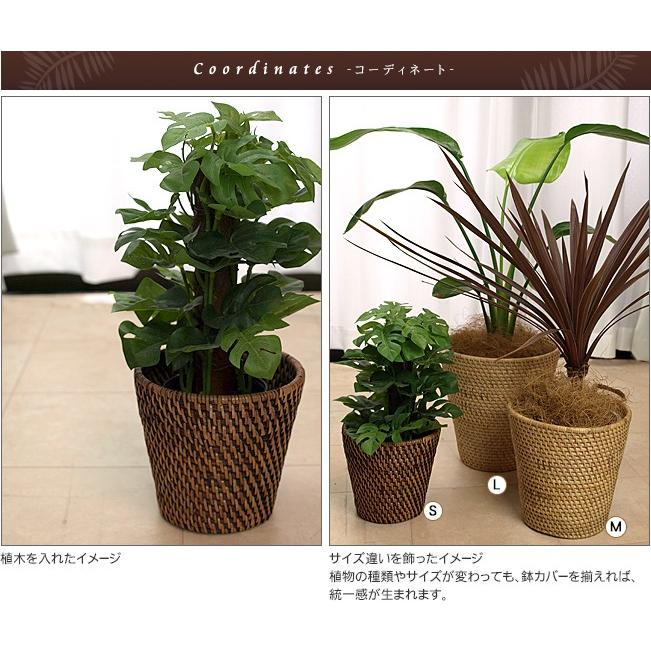 鉢カバー ラタン Sサイズ 籐 アジアン雑貨 バリ おしゃれ 観葉植物 バリ雑貨 バリ風 インテリア Hc0001 バリ雑貨ココバリ アジアン雑貨 インテリア 通販 Yahoo ショッピング
