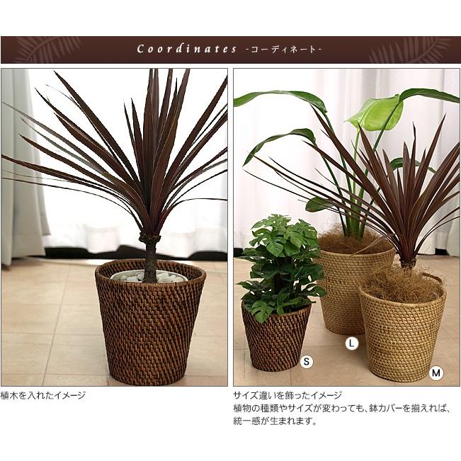 アジアン バリ島 シーグラス プランターカバー 3点セット 収納  収納 かご 楽天市場】プランターカバー ゴミ箱 バスケット かご シーグラス