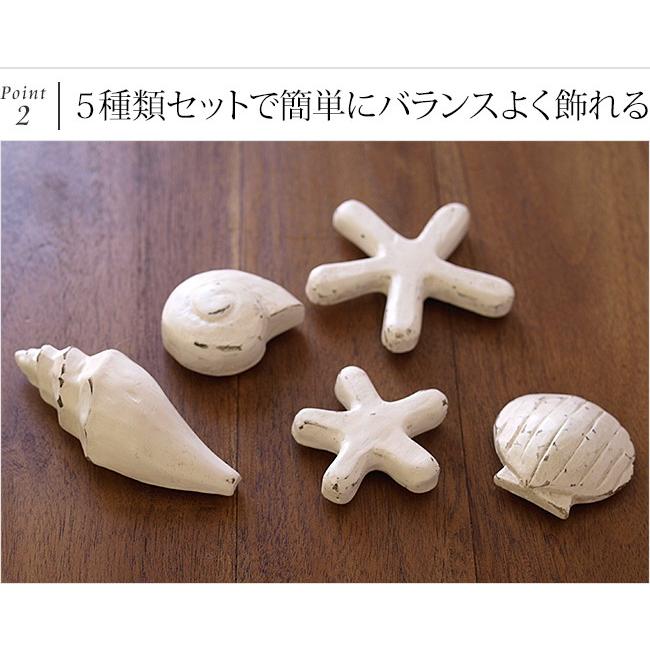 マグネット(シェル＆スター)5種類セット 貝(3種類),ヒトデ(2サイズ