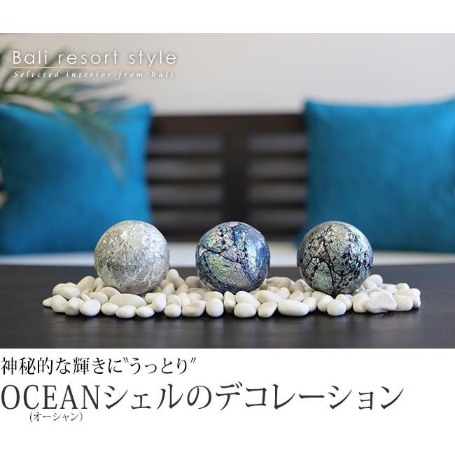 OCEANシェルのデコレーション バリ雑貨 ハワイ 西海岸