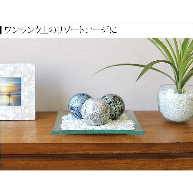 OCEANシェルのデコレーション バリ雑貨 ハワイ 西海岸 インテリア