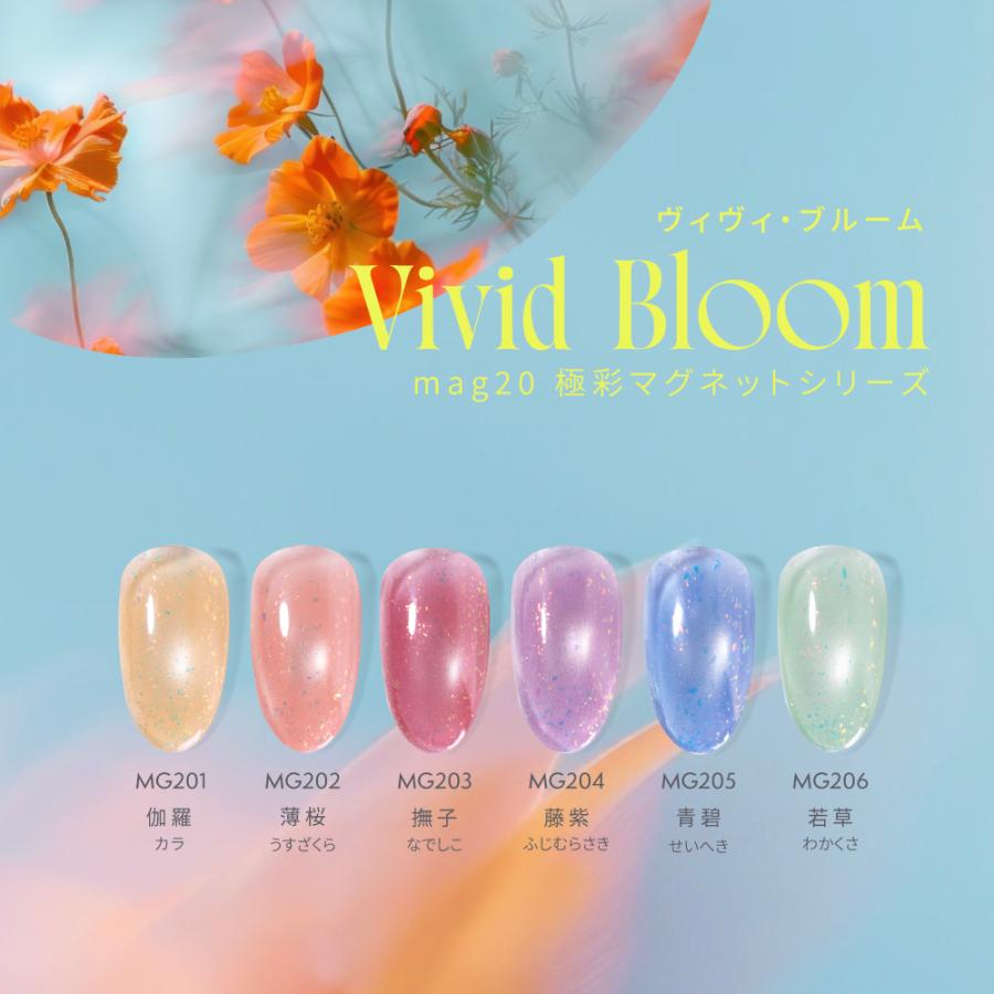 お得にリニューアル☆初心者6点セット☆新シリーズ発売】HEMAフリー 夏