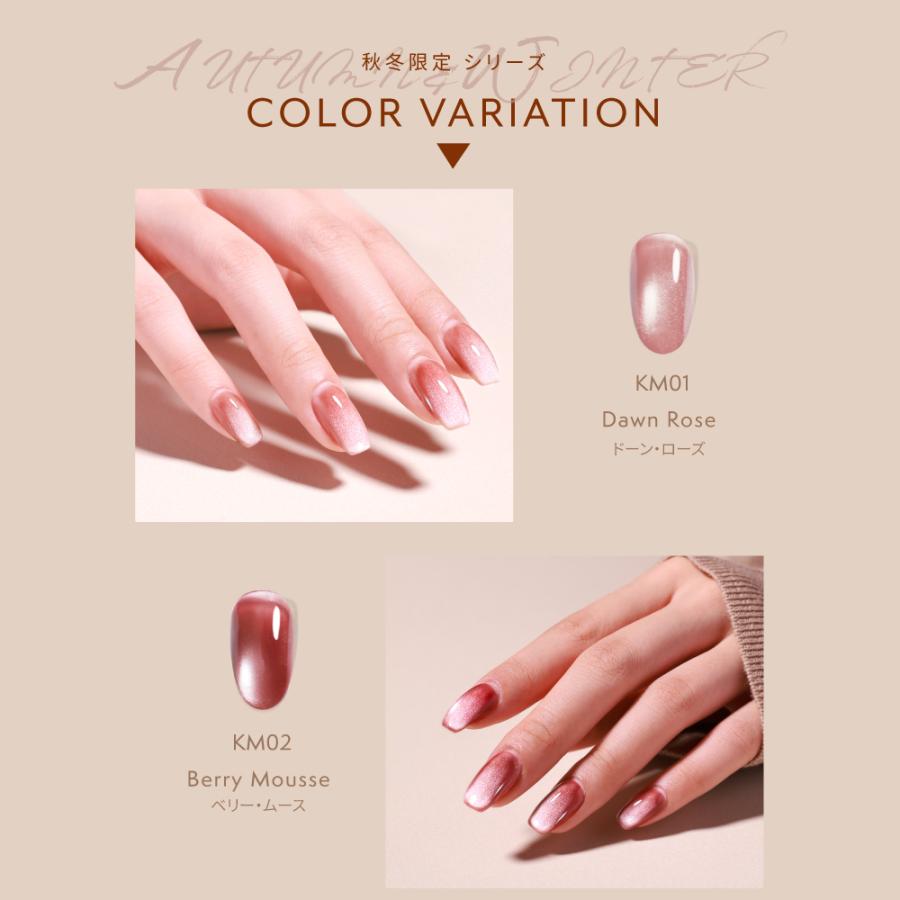 秋冬新色発売☆マグネットネイル☆4点セット HEMAフリー 水光