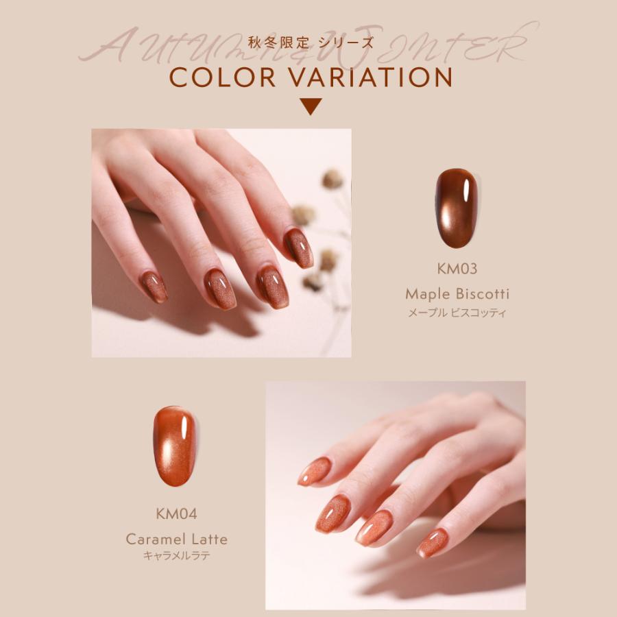 秋冬新色発売☆マグネットネイル☆4点セット HEMAフリー 水光