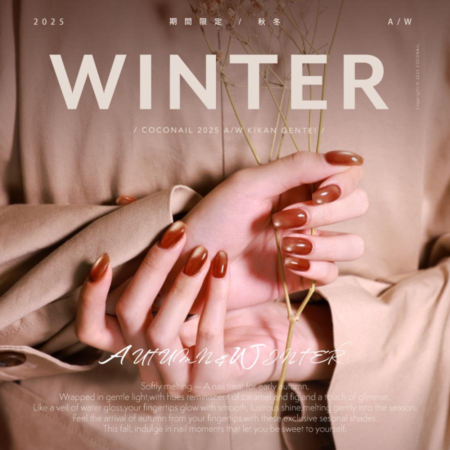 秋冬新色発売☆マグネットネイル☆4点セット HEMAフリー 水光