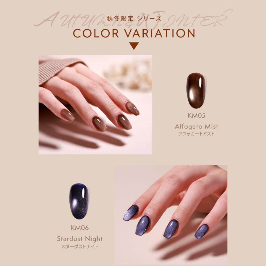 マグネットネイル5点セット】秋冬新色発売 スターターキット HEMA