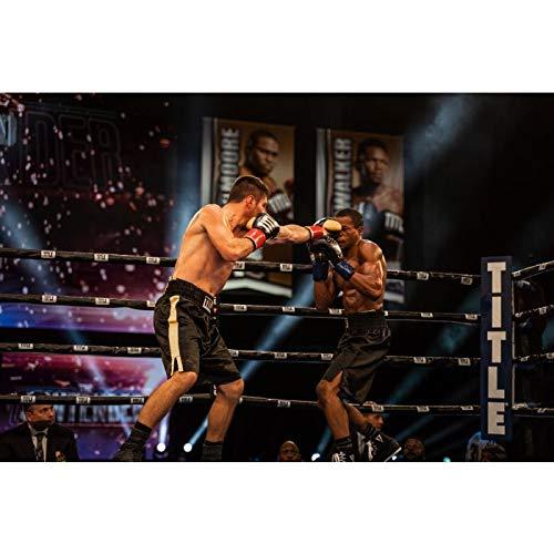 TITLE Enforcer 公式プロファイトグローブ 10 oz