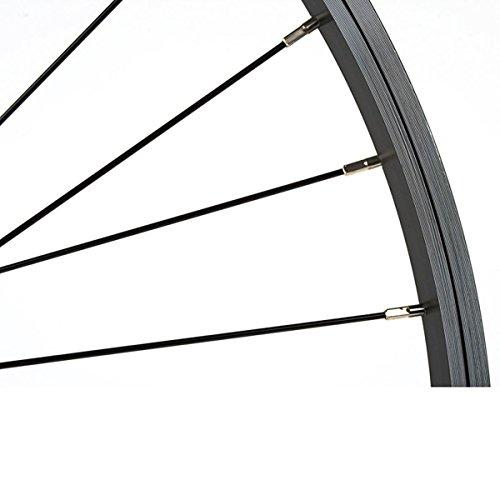 Sta Tru 26 x 1.5インチ STW クイックリリース リア 6-8スピード ブラック ST1 26.5mm 36h 自転車ホイール - RWS2615FWK     商品情報    【商品名】Sta Tru 26 x 1.5インチ STW クイックリリース リア 6-8スピード ブラック ST1 26.5mm 36h 自転車ホイール 