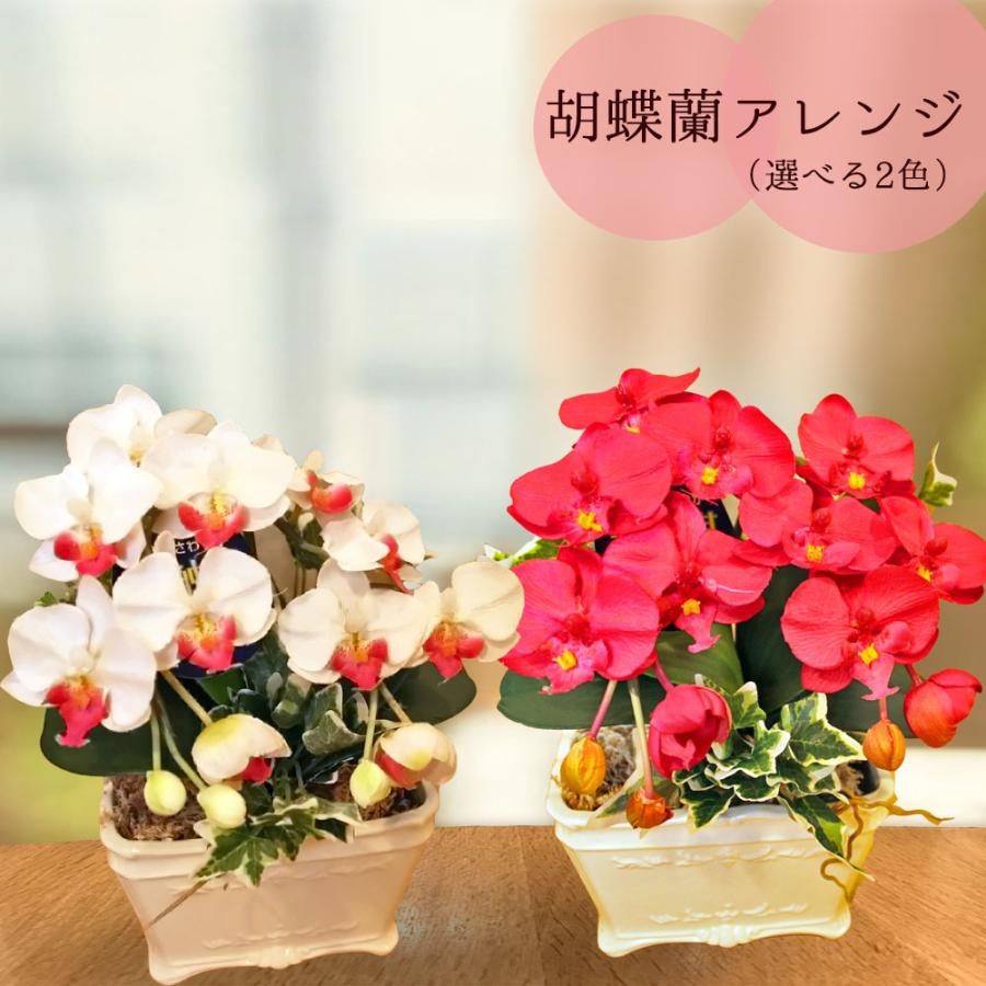 母の日 花 胡蝶蘭 ミニ アレンジ 造花 光触媒 お祝い 白 ホワイト 赤 レッド かわいい 誕生日 大輪 長寿 プレゼント ギフト コチョウラン ココキャンフラワー 造花の胡蝶蘭専門 Cococanフラワー 通販 Yahoo ショッピング