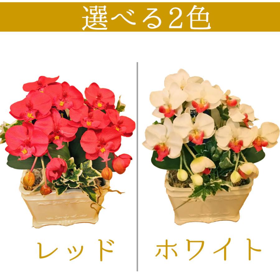 母の日 花 胡蝶蘭 ミニ アレンジ 造花 光触媒 お祝い 白 ホワイト 赤 レッド かわいい 誕生日 大輪 長寿 プレゼント ギフト コチョウラン |  | 02