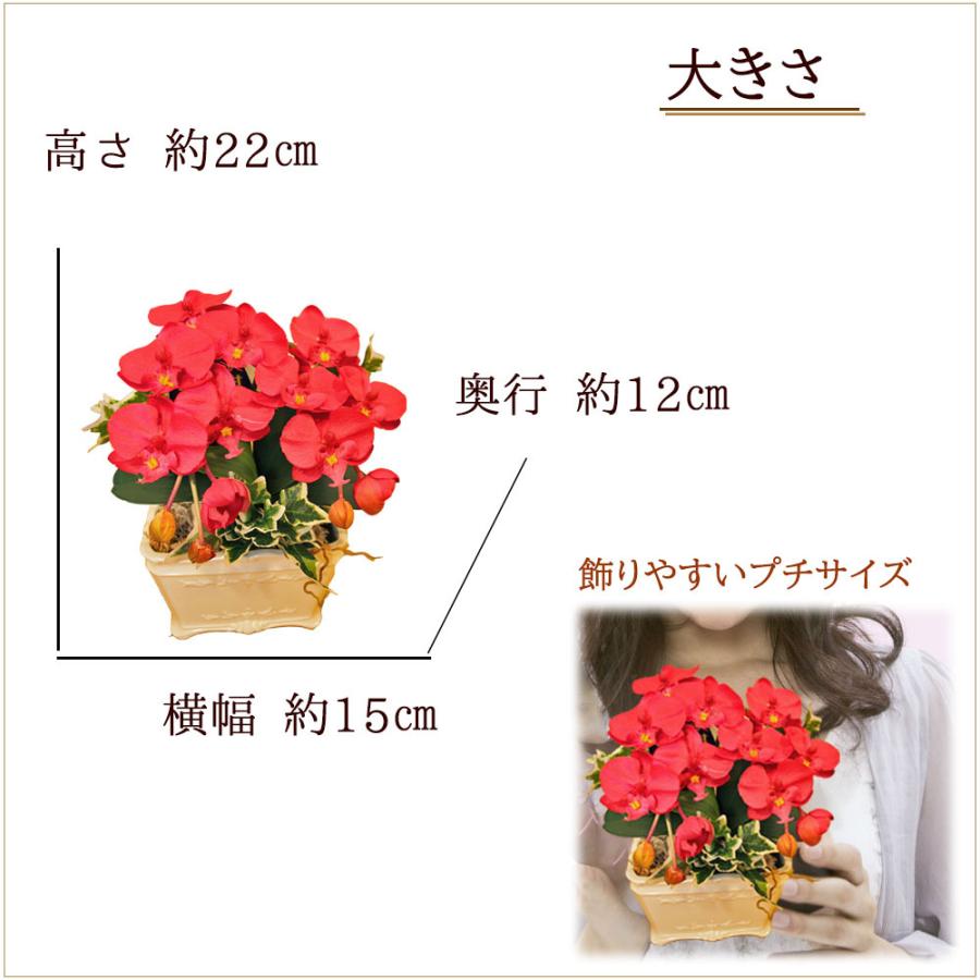 母の日 花 胡蝶蘭 ミニ アレンジ 造花 光触媒 お祝い 白 ホワイト 赤 レッド かわいい 誕生日 大輪 長寿 プレゼント ギフト コチョウラン |  | 03