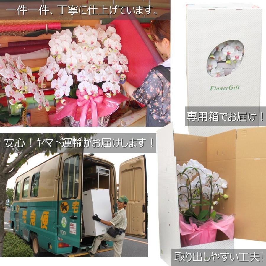 母の日 花 胡蝶蘭 ミニ アレンジ 造花 光触媒 お祝い 白 ホワイト 赤 レッド かわいい 誕生日 大輪 長寿 プレゼント ギフト コチョウラン |  | 08