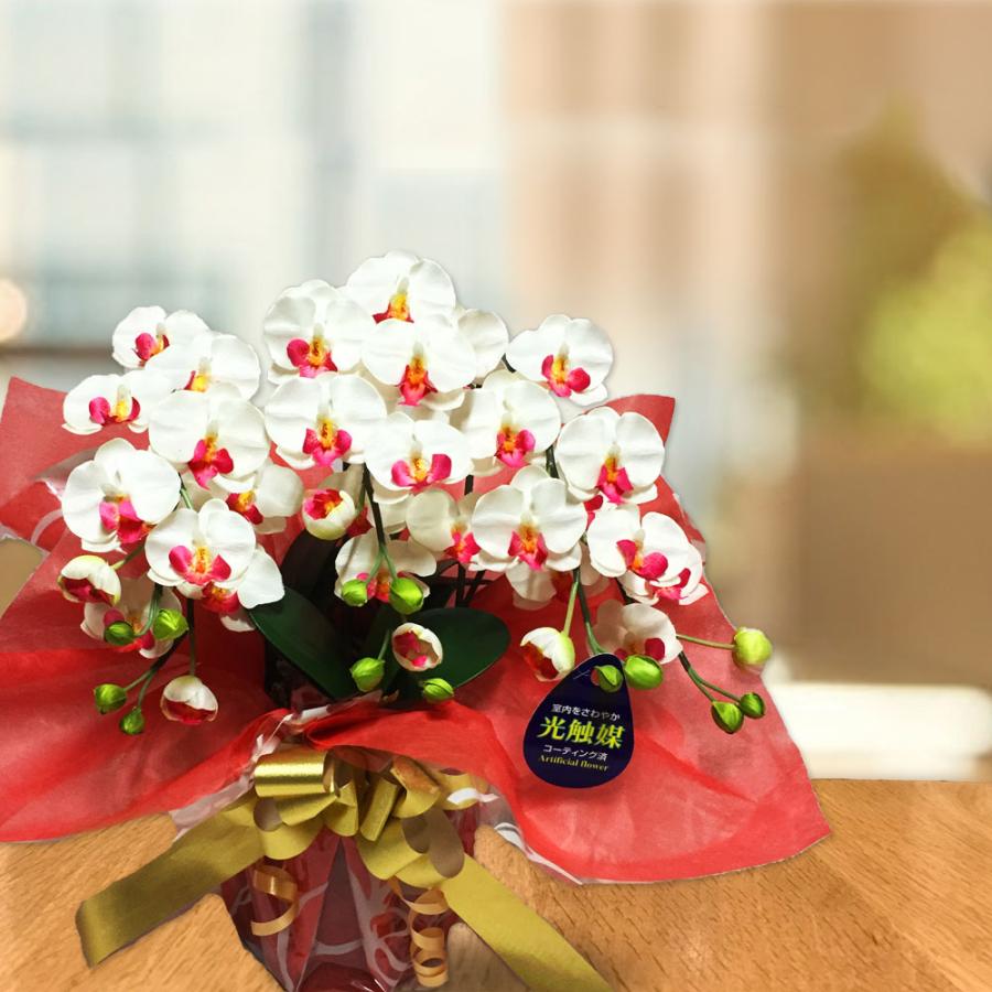 売り切れ必至 開店祝い 胡蝶蘭 造花 光触媒 ミディ 9色 ギフト 送料無料 御供え 3本 インテリア オフィス 喜寿 米寿 還暦 百寿 誕生日 プレゼント ココキャンフラワー 驚きの安さ Www Technet 21 Org