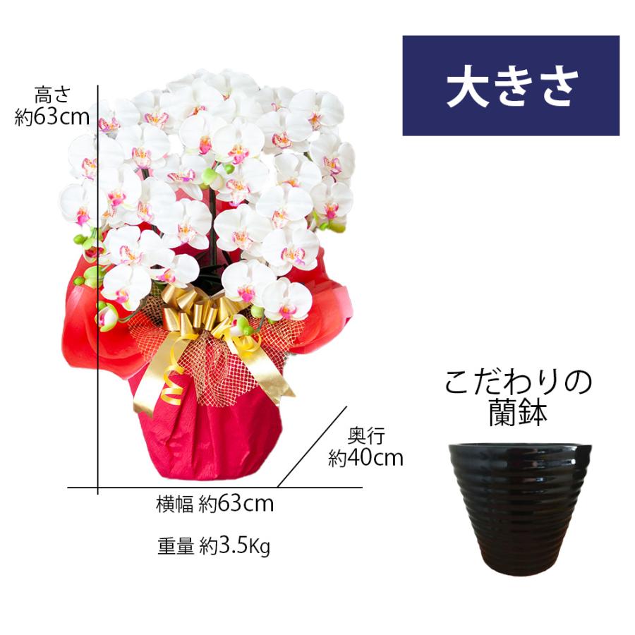 光触媒 胡蝶蘭 5本立ち 大輪 豪華 ギフト 造花 開店祝い 移転